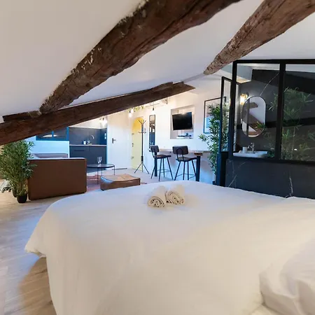 Appartamento Superbe Loft - Vieux - Balneo