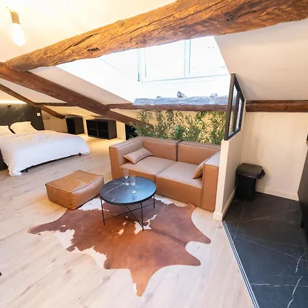 Daire Superbe Loft - Vieux - Balneo Nice