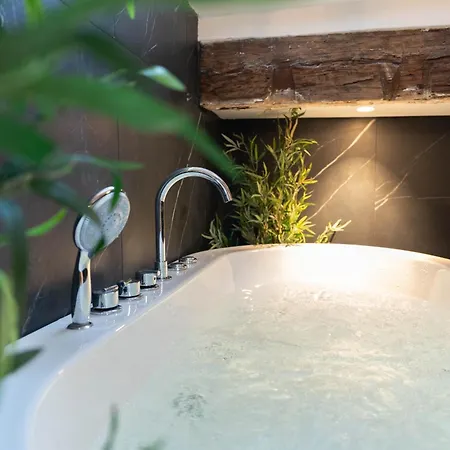 Daire Superbe Loft - Vieux - Balneo